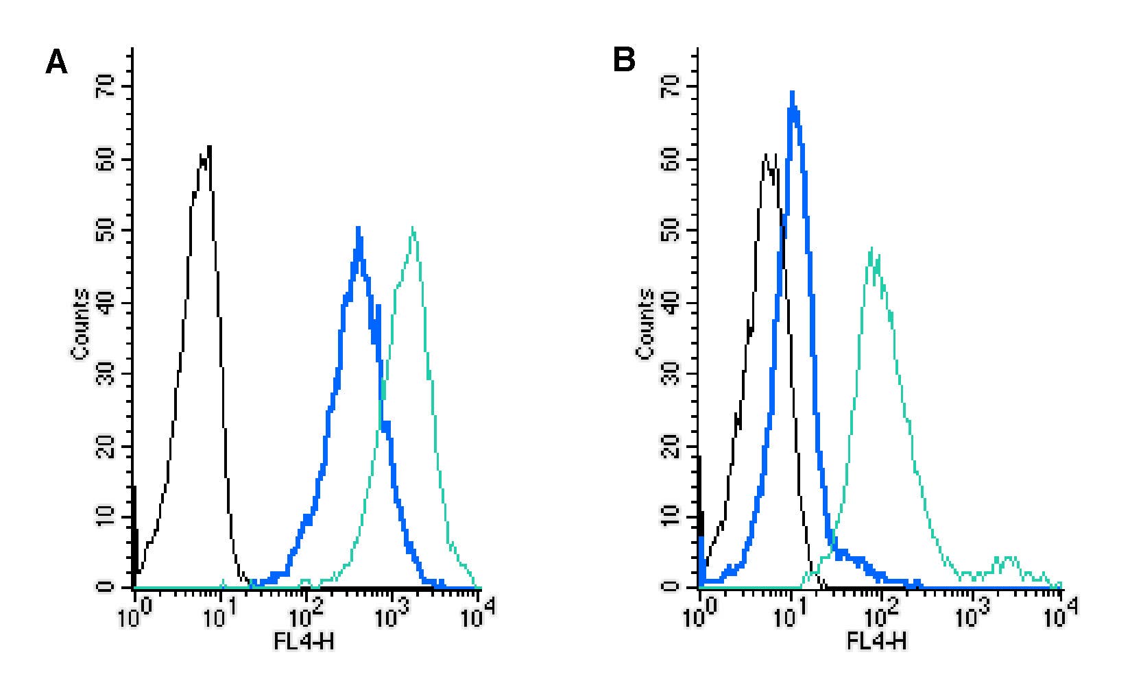 Rabbit IgG Isotype Control-APC