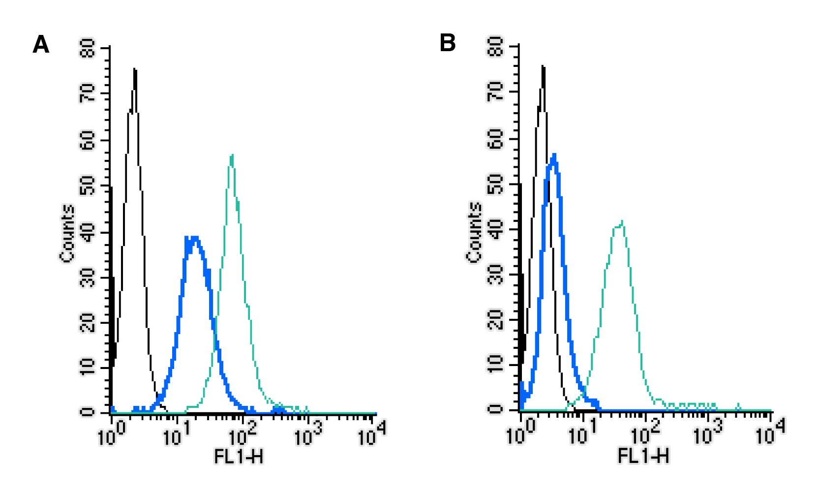 Rabbit IgG Isotype Control-FITC