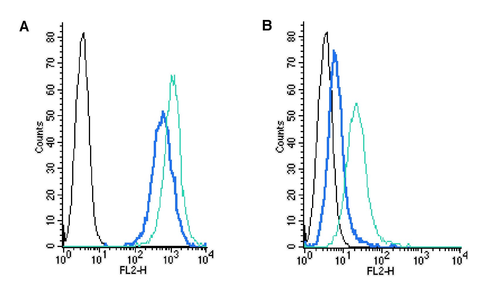 Rabbit IgG Isotype Control-PE