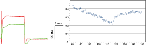 Aa1 Toxin