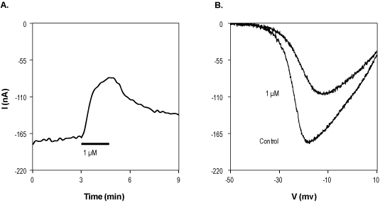 SR 33805 oxalate