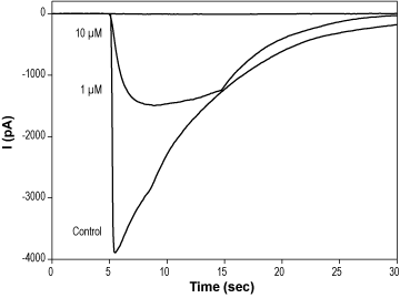 SDZ 205-557 hydrochloride