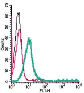 Anti-S1PR1 (EDG1) (extracellular)-FITC Antibody
