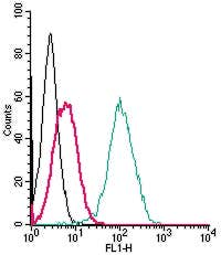 Anti-S1PR5/EDG8 (extracellular) Antibody