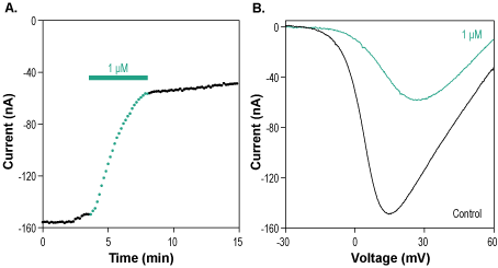 Calciseptine