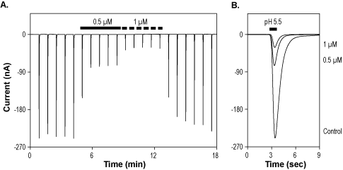 APETx2