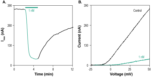 Agitoxin-2
