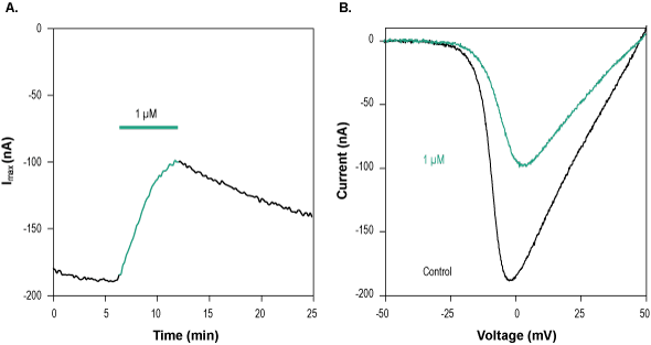 ω-Agatoxin TK