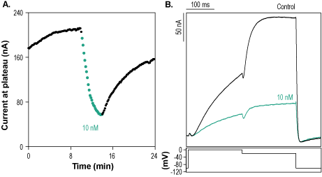 BeKm-1