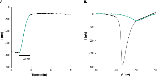 Ceratotoxin-2