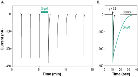 Cono RPRF-amide