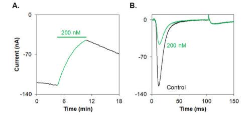 Cd1a Toxin