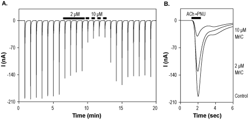 α-Conotoxin MrIC
