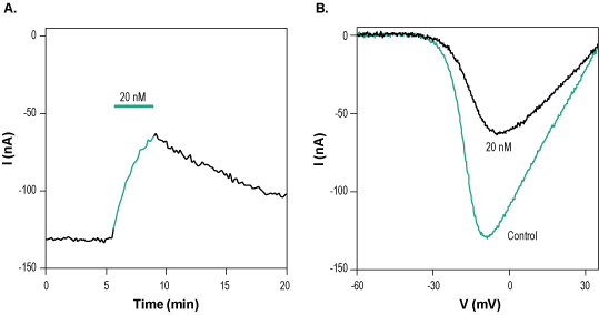 µ-Conotoxin PIIIA
