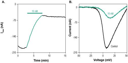 ω-Conotoxin CVIB