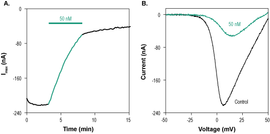 ω-Conotoxin CVIC