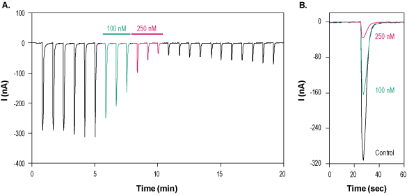 αA-Conotoxin OIVA