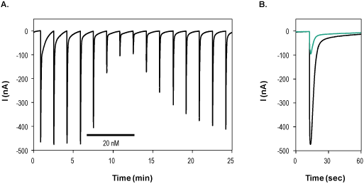 αC-Conotoxin PrXA