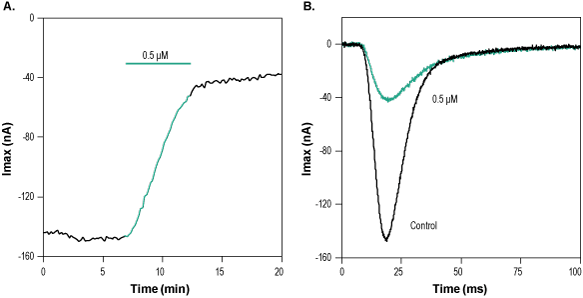 µ-Conotoxin CnIIIC