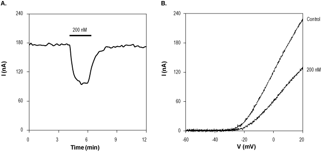 κ-Conotoxin RIIIK