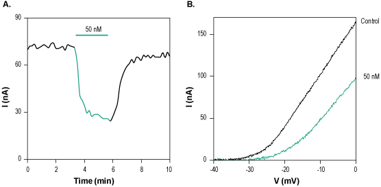 κ-Conotoxin RIIIJ