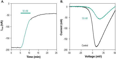ω-Conotoxin CVIA