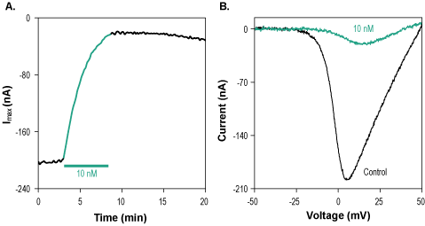 ω-Conotoxin CVIE