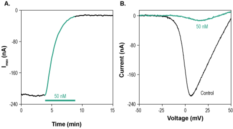 ω-Conotoxin FVIA