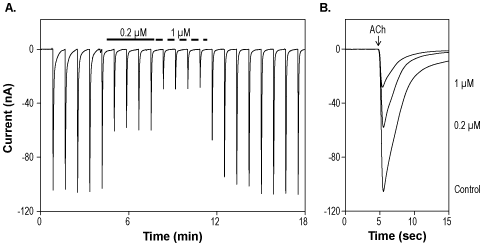 α-Conotoxin SI