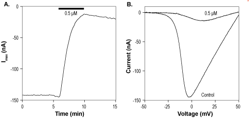 ω-Conotoxin RVIA
