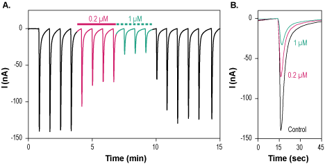 α-Conotoxin PIA
