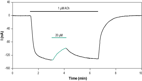 α-Conotoxin AuIA
