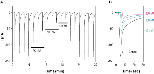 α-Conotoxin PeIA