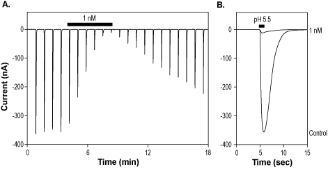 Hm3a Toxin