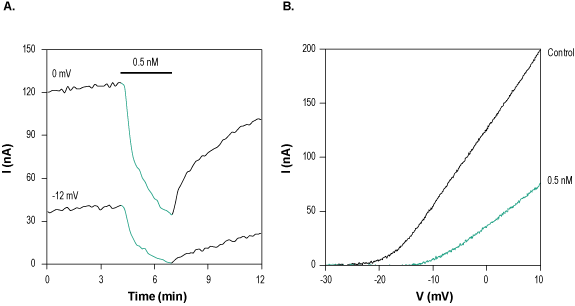 HsTx1 Toxin