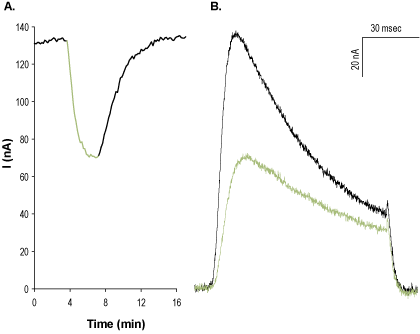 Heteropodatoxin-2