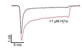Hj1a Toxin