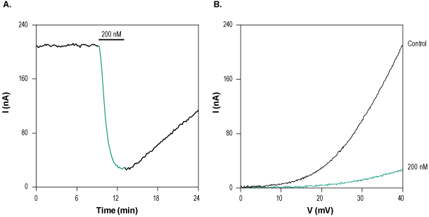 Jingzhaotoxin-III