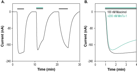 MmTx1 Toxin