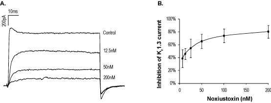 Noxiustoxin