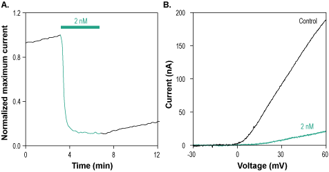 OsK-1 Toxin
