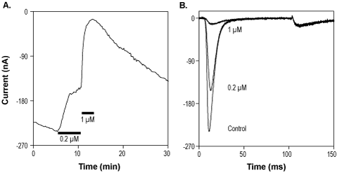 Phlo1a