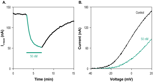 Phrixotoxin-1