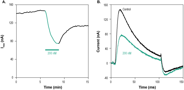 Phrixotoxin-2