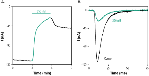 Phrixotoxin-3