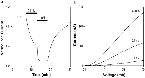 Spinoxin