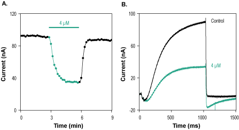 SsTx Toxin
