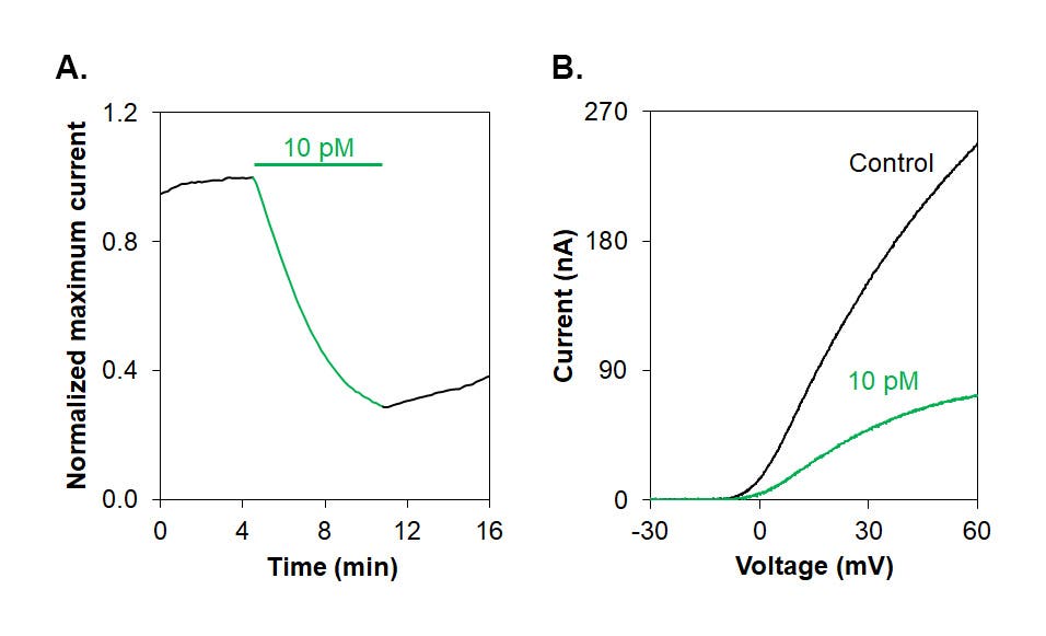 Vm24 Toxin