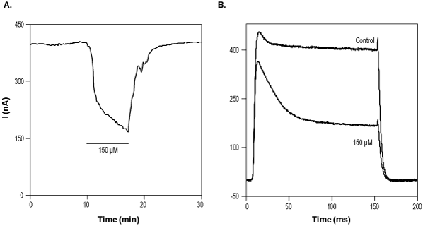 Trimethylapigenin