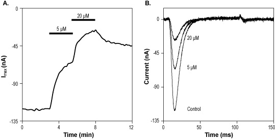 (Rac)-TTA-P2